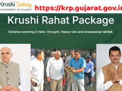 આજથી અસરગ્રસ્ત ધરતીપુત્રો સહાય મેળવવા અરજી કરી શકશે