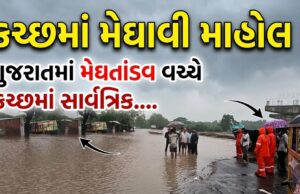 કચ્છમાં મેઘાવી માહોલ ! ભુજ-મુન્દ્રામાં દોઢ, રાપરમાં તોફાની બે ઇંચ !