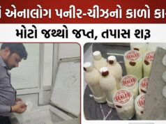 કચ્છમાં એનાલોગ પનીર-ચીઝના ઉત્પાદન-વેચાણ સામે તપાસ !
