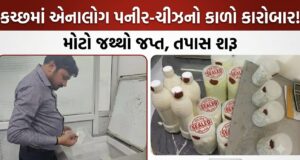 કચ્છમાં એનાલોગ પનીર-ચીઝના ઉત્પાદન-વેચાણ સામે તપાસ !