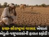 કચ્છ-સૌરાષ્ટ્રમાં વરસાદ ખેંચાતાં ખેડૂતો-પશુપાલકોની હાલત કફોડી બનશે !
