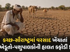 કચ્છ-સૌરાષ્ટ્રમાં વરસાદ ખેંચાતાં ખેડૂતો-પશુપાલકોની હાલત કફોડી બનશે !