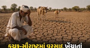 કચ્છ-સૌરાષ્ટ્રમાં વરસાદ ખેંચાતાં ખેડૂતો-પશુપાલકોની હાલત કફોડી બનશે !