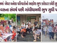 ગાંધીધામમાં બેઘર પરિવારોનો આક્રોશ ભુજ કલેક્ટર કચેરી સુધી પહોંચ્યો !