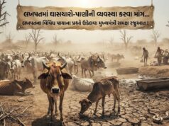 લખપતના વિવિધ પાયાના પ્રશ્નો ઉકેલવા મુખ્યમંત્રી સમક્ષ માંગ !