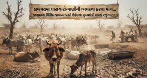 લખપતના વિવિધ પાયાના પ્રશ્નો ઉકેલવા મુખ્યમંત્રી સમક્ષ માંગ !