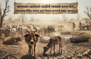 લખપતના વિવિધ પાયાના પ્રશ્નો ઉકેલવા મુખ્યમંત્રી સમક્ષ માંગ !