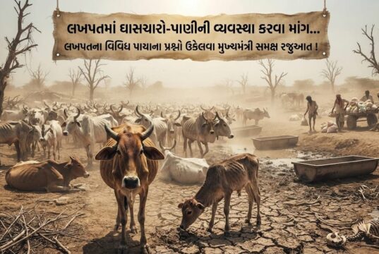 લખપતના વિવિધ પાયાના પ્રશ્નો ઉકેલવા મુખ્યમંત્રી સમક્ષ માંગ !